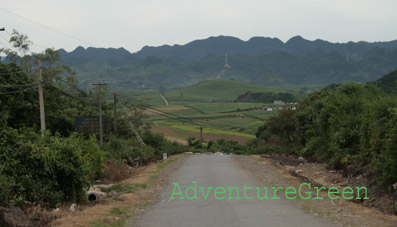 Road at Moc Chau, Son La
