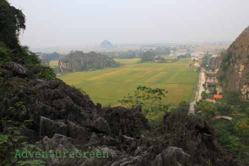 A view of the surroundings from Hang Mua at Tam Coc