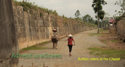 Buffalo riders at Ho Citadel