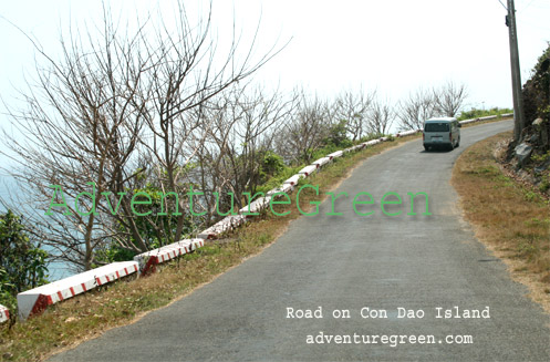 Road on Con Son Island