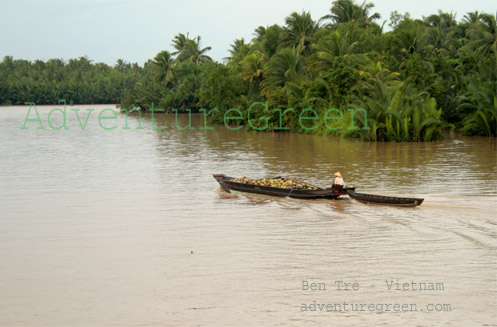 A coconut boat on the Mekong at Ben Tre