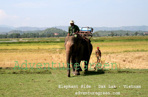 Elephant Ride - Daklak Vietnam