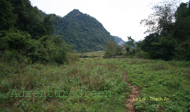 A forest trail at Le Loi, Thach An