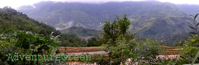 The great valley in front of the homestay