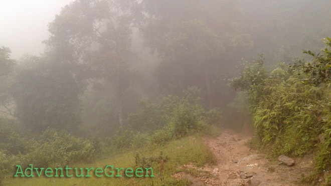 a trekking route in fog at Nam Khoa