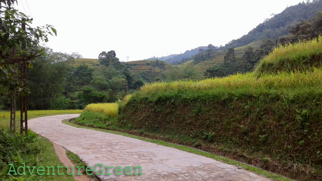 A scenic village road at Thong Nguyen, Hoang Su Phi, Ha Giang