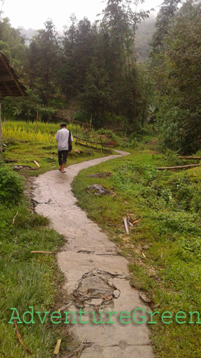 A trail from the village to the forest