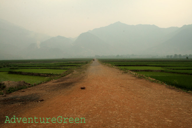 A road through rice fields at Than Uyen, Lai Chau