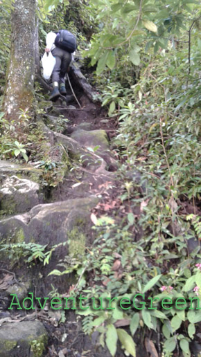 And came the steep rocky path