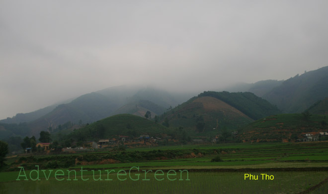 Rice fields and mountains at Tan Son District, Phu Tho Province