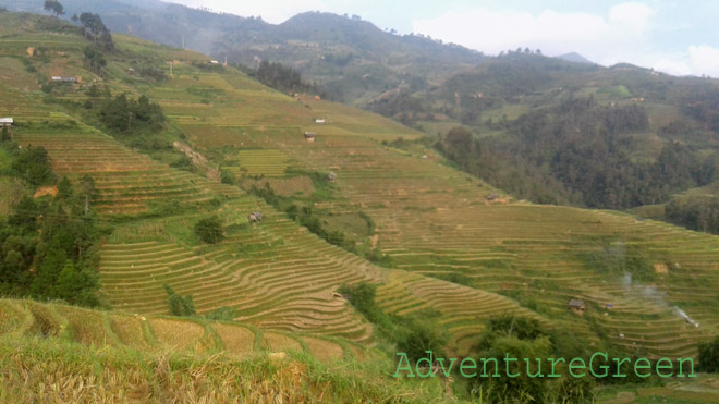 A nice view in front of the homestay at Mu Cang Chai