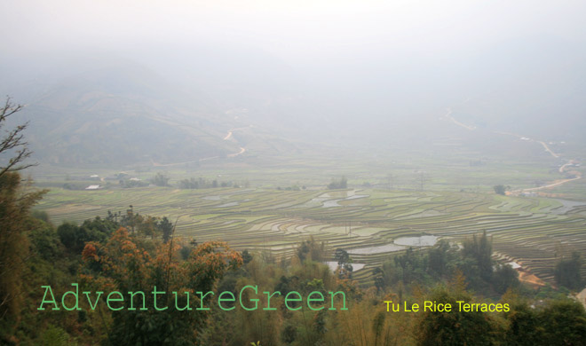 Rice terraces at Tu Le