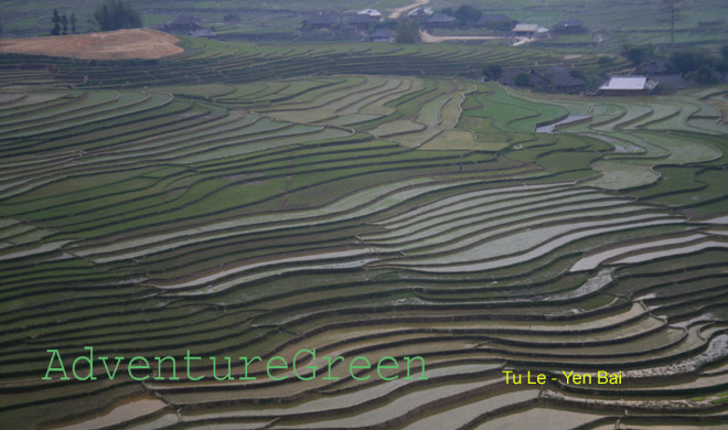Stunning rice terraces at a closer view