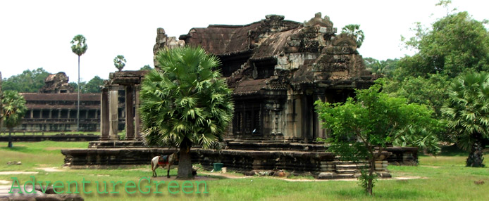 A temple of Angkor at Siem Reap, Cambodia