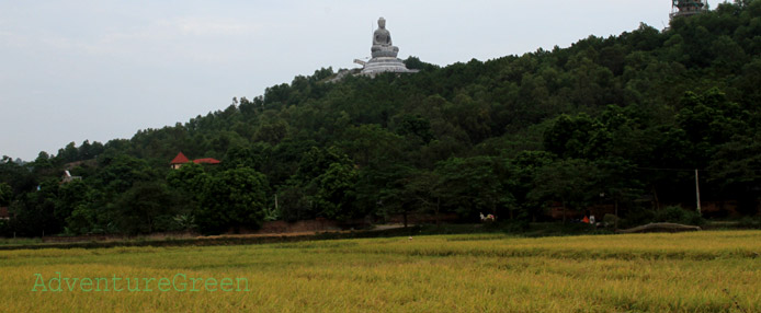 Phat Tich Pagoda, Bac Ninh