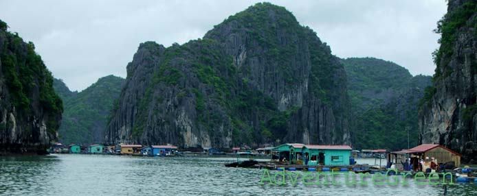 A floating village on the Lan Ha Bay, near Cat Ba Island, Hai Phong, Vietnam