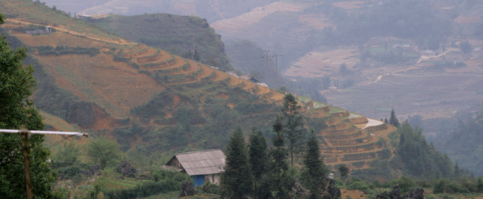 Terraces at Muong Hoa Valley