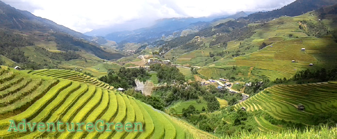 Golden rice terraces at Mu Cang Chai, Yen Bai