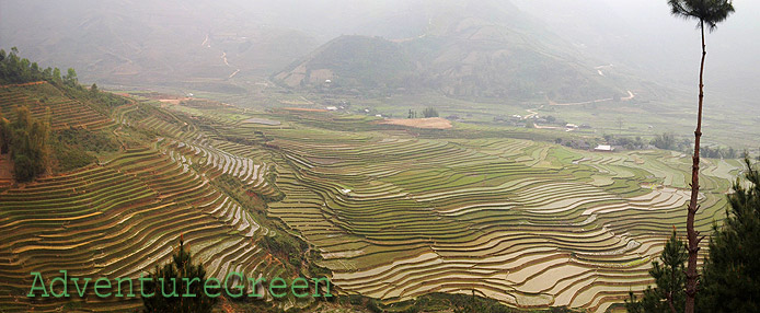 Rice terraces at Khau Pha - Tu Le Yen Bai