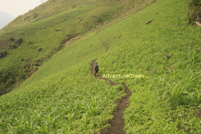 Some leg of the trekking tour is on mountain slopes amid corn fields or with breathtaking views of the wild around
