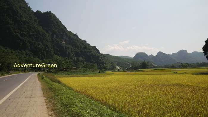 Bucolic countryside with rice fields and mountains along the new road between Thai Nguyen and Bac Kan Provinces