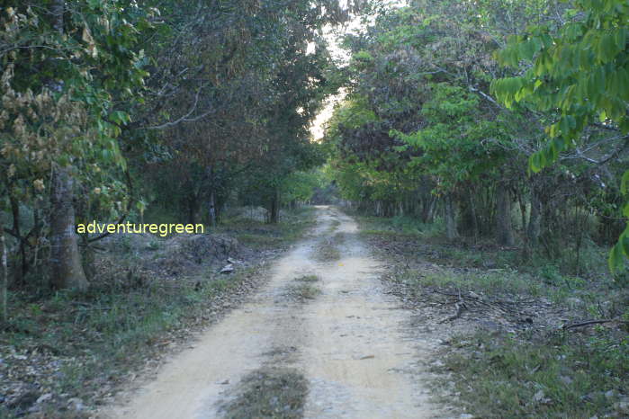 A birding trail at the Cat Tien National Park where several species of woodpecker, broadbill, trogon are to be observed.