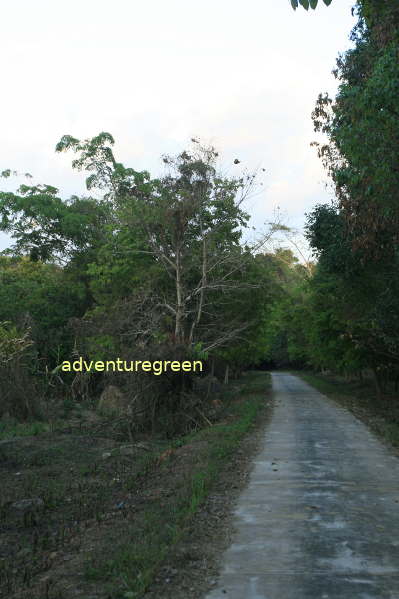 A birding trail at the Cat Tien National Park