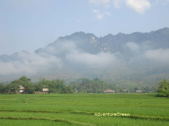 Lovely rice fields against sublime green mountains in Mai Chau Valley in spring