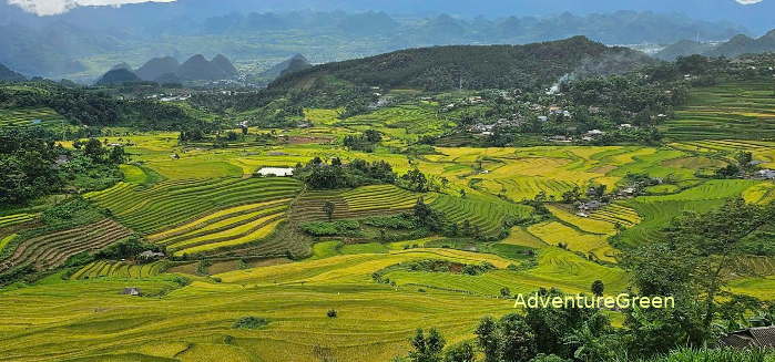 Breathtaking rice terraces at the Ta Leng Village, Tam Duong, Lai Chau