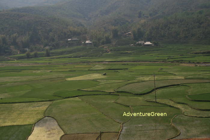 The peaceful Muong Than Valley at Than Uyen, Lai Chau Vietnam