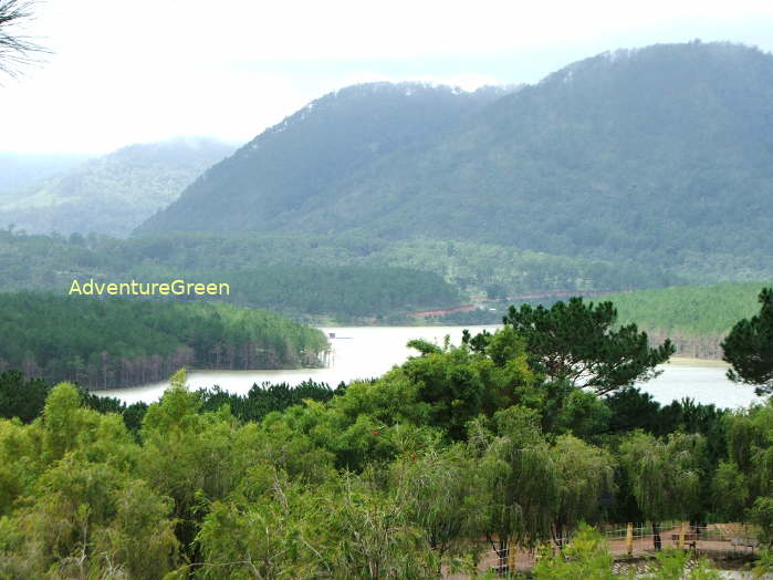 The Tuyen Lam Lake, a must-visit for all birders in Da Lat
