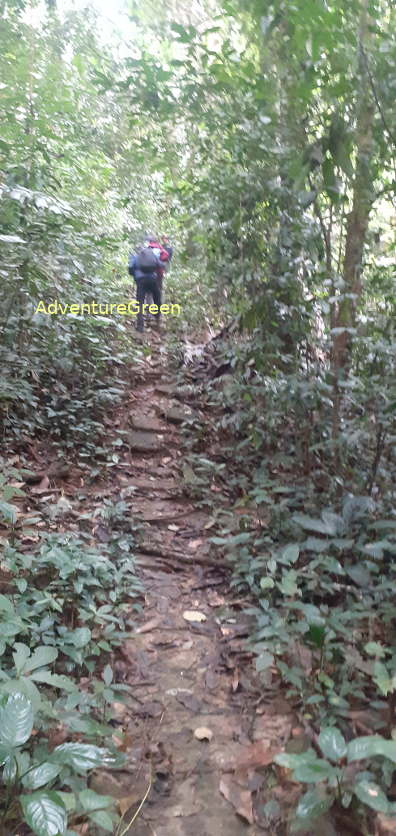 A hiking trail at the Cuc Phuong National Park