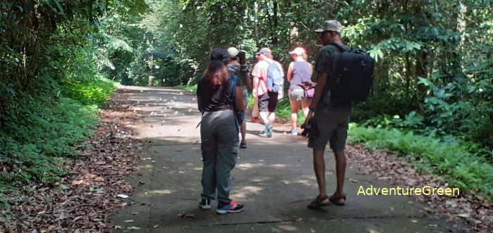 Taking photos of butterflies at Cuc Phuong National Park