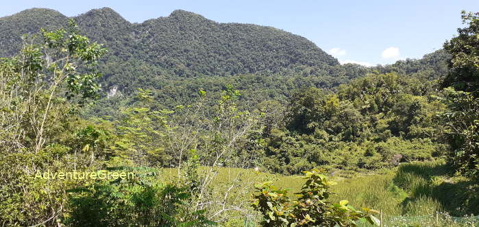 View of mountains and forest on the trek near our home tonight