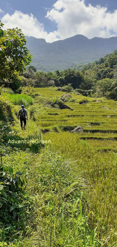 Trekking at the Pu Luong Nature Reserve in Thanh Hoa Province