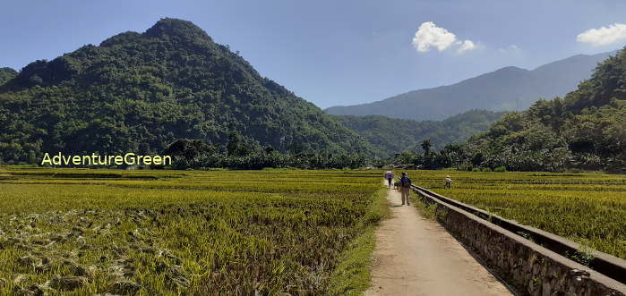A lovely valley with rice fields on our trek today