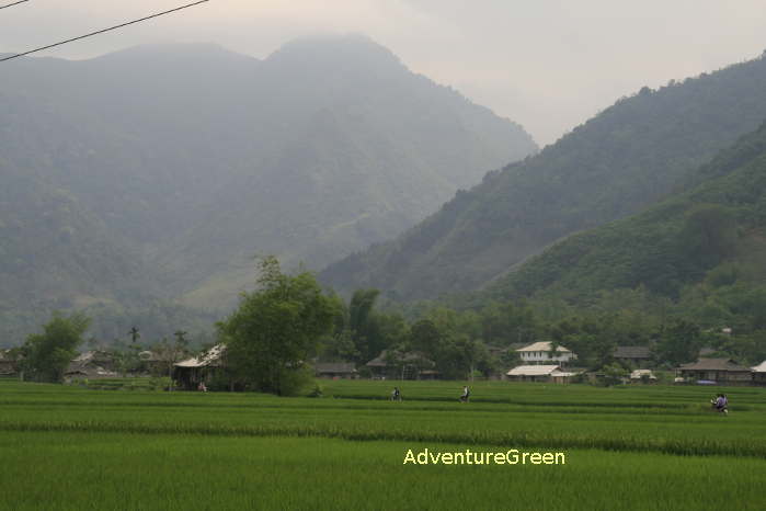 Breathtaking mountains and villages at the Muong Lo Valley in Nghia Lo Yen Bai