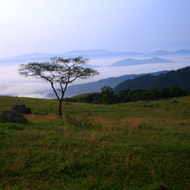 Dong Cao Bac Giang