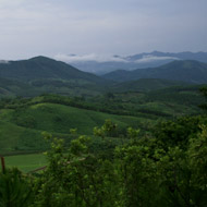 Khe Ro Forest, Bac Giang