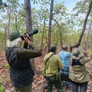Bird Watching Tour at Yok Don National Park Bird Watching Tour at Yok Don National Park