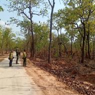 Vietnam Weather in March 2026