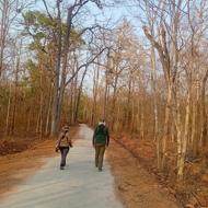 Birding at Yok Don National Park Vietnam
