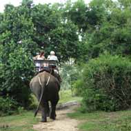 Yok Don National Park in Dak Lak Vietnam