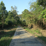 A trail in the forest of Cat Tien National Park