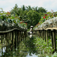 Sa Dec Flower Village in Dong Thap, Vietnam