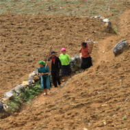 Hmong family at work in Dong Van