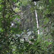 Bach Ma National Park in Thua Thien Hue, Vietnam