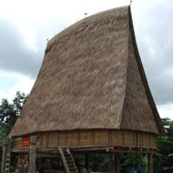 Chu Mom Ray National Park, Kon Tum