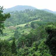 Bidoup Nui Ba National Park, Lam Dong