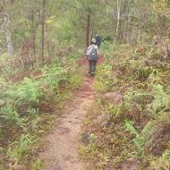 Birdwatching Tour in Da Lat and Bidoup Nui Ba National Park - 5 Days Birdwatching Tour in Da Lat and Bidoup Nui Ba National Park - 5 Days